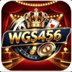 WGS456 Game