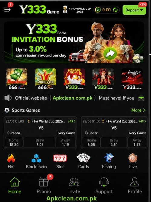 Y333 Game