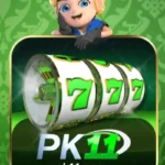 PK11 Game